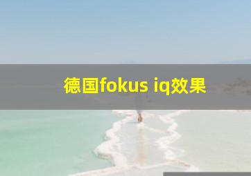 德国fokus iq效果